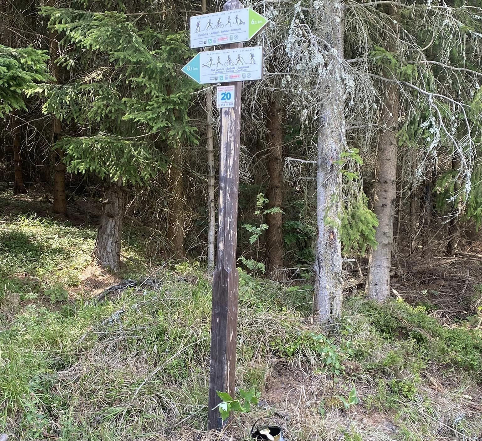 dbaja-o-trasy-biegowe-126420