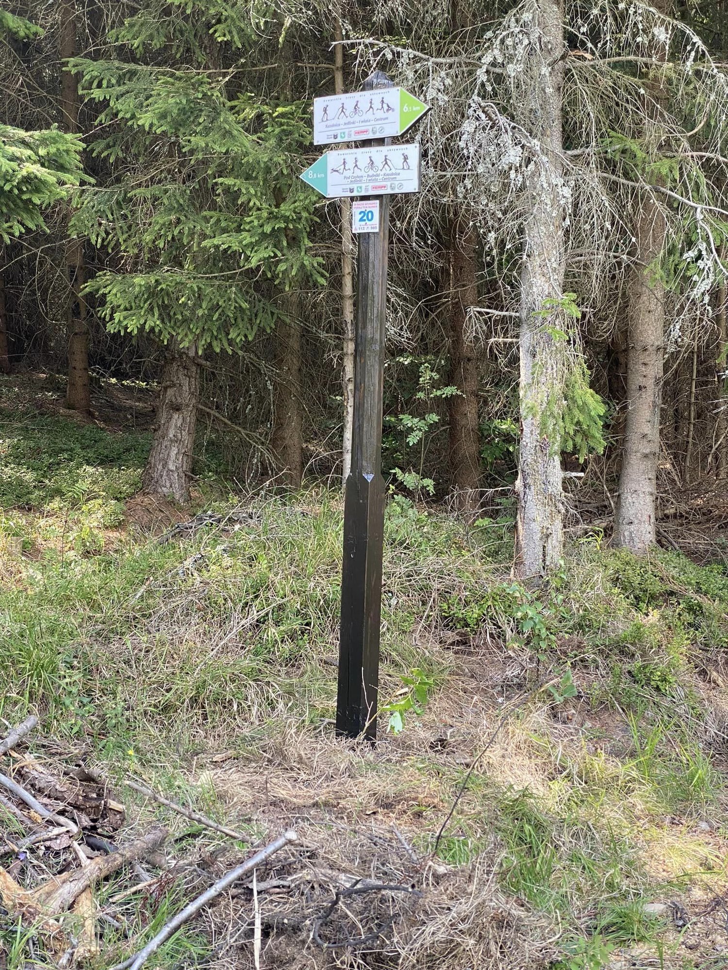 dbaja-o-trasy-biegowe-126420