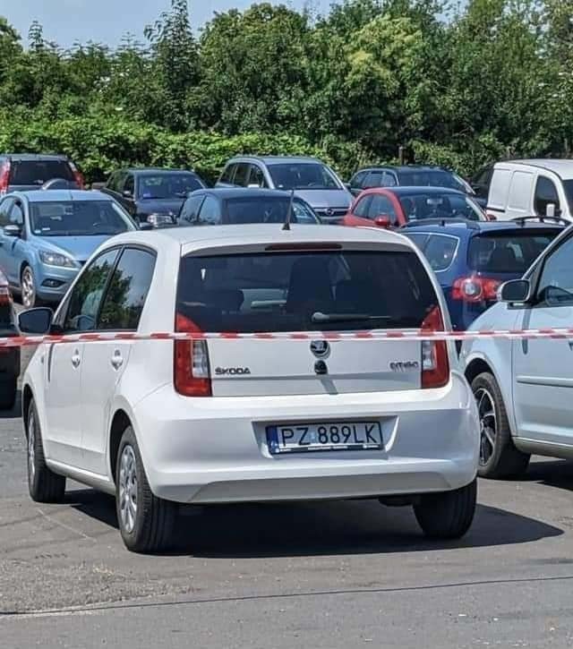 kto-widzia-ize-zaginea-jak-kamfora-126549