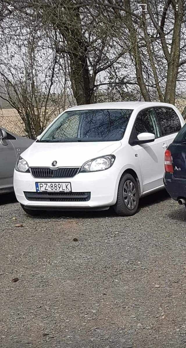 kto-widzia-ize-zaginea-jak-kamfora-126549