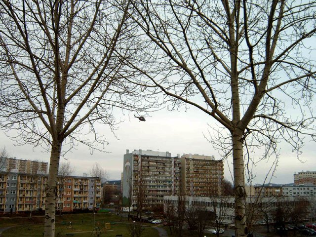 sokoy-haasuja-az-beton-drzy-12655