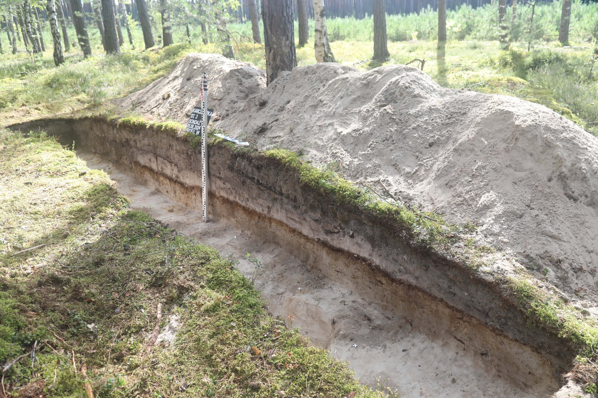 czy-zabijali-strzaem-w-ty-gowy-126706