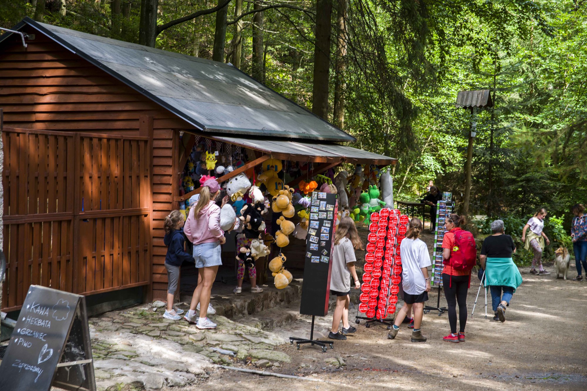 schronisko-kochanowka-po-remoncie-126889
