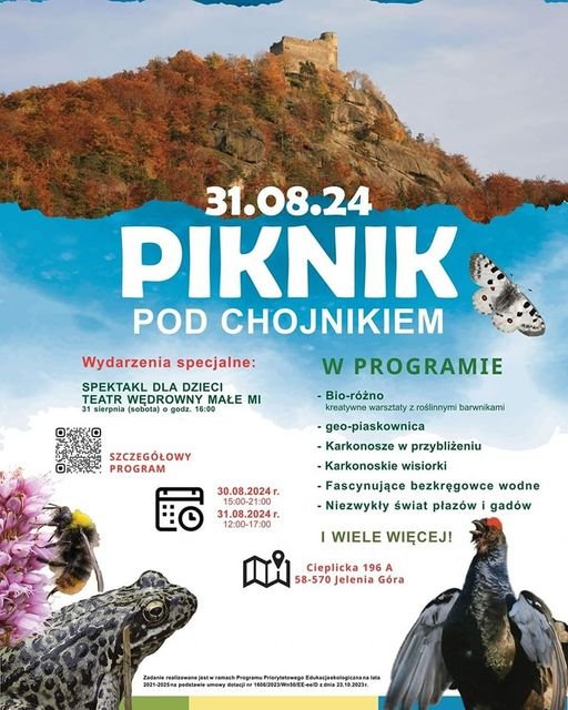 piknik-pod-chojnikiem-126909