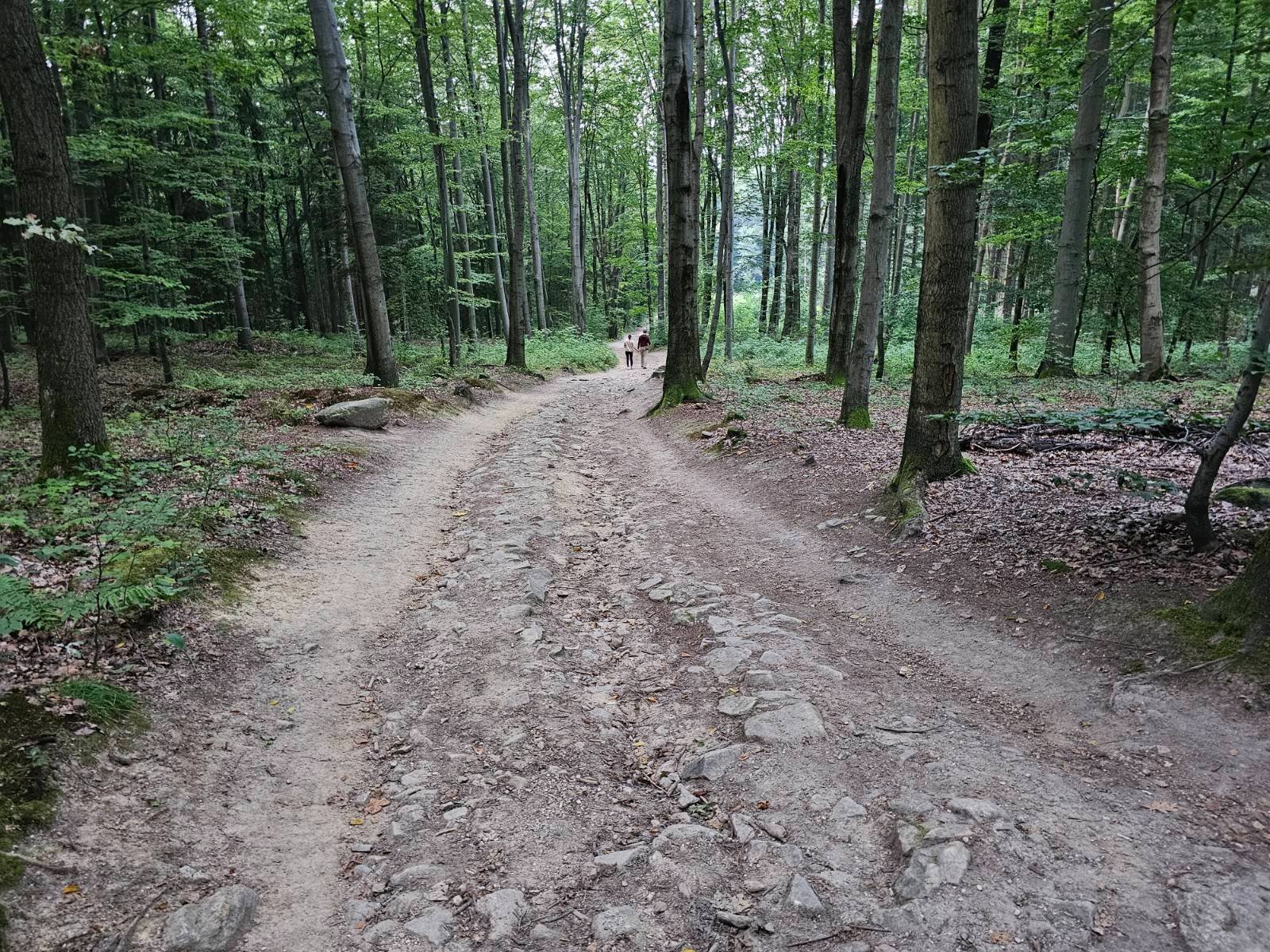 zamek-ksiecia-henryka-wyjatkowe-widoki-na-karkonosze-127042