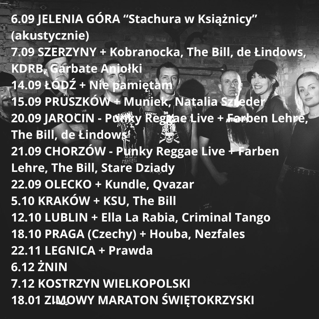 leniwiec-akustycznie-w-ksiaznicy-127053