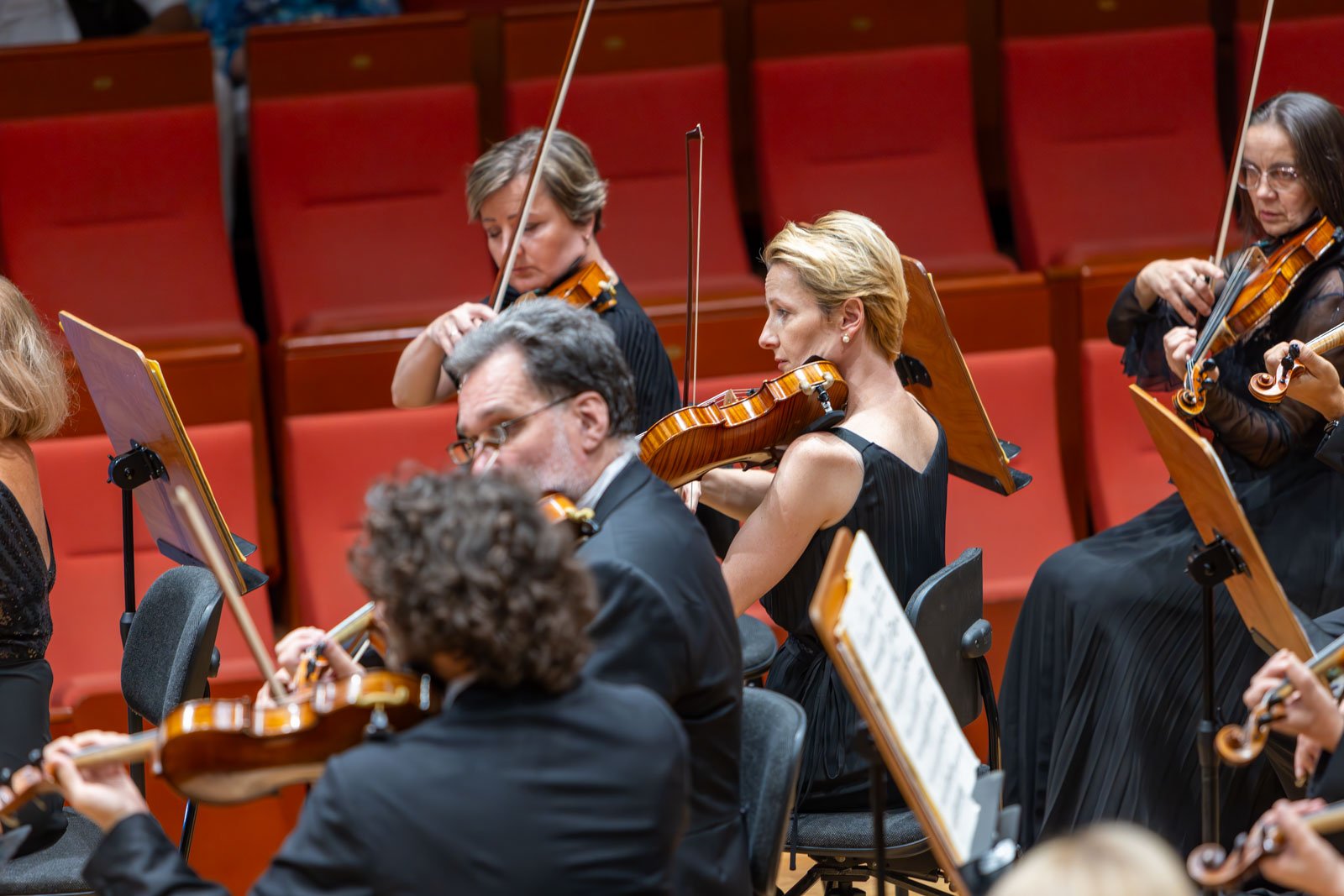 ruszyy-koncerty-w-filharmonii-127089