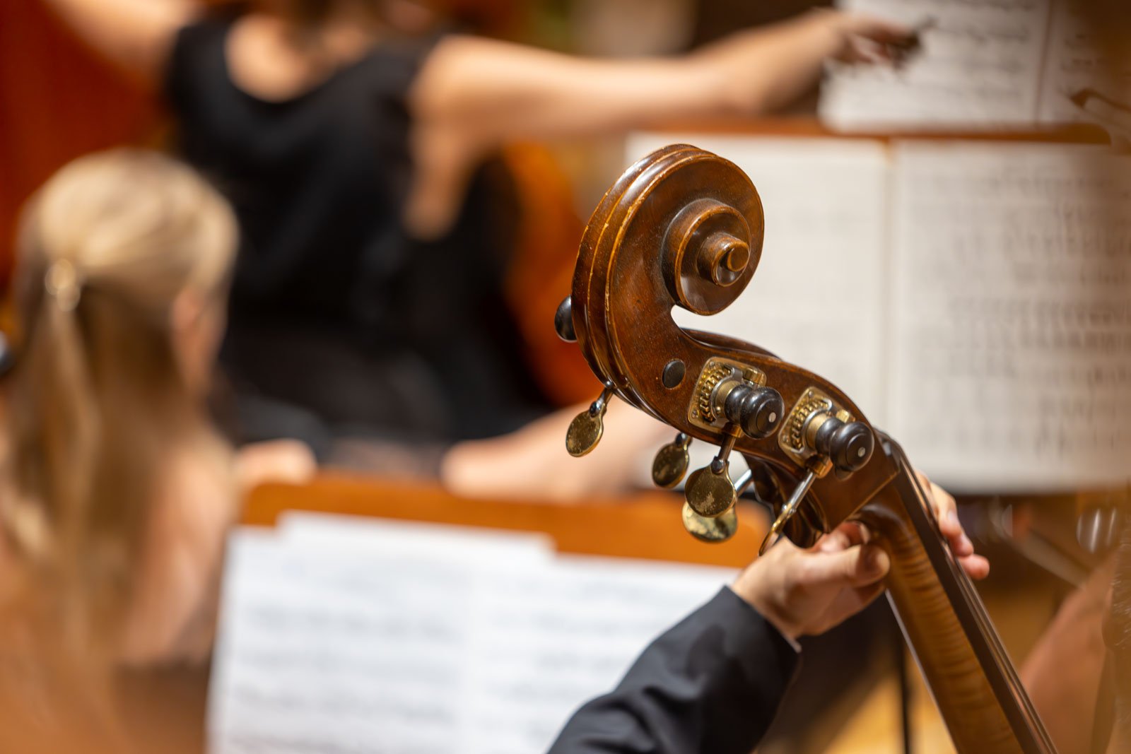 ruszyy-koncerty-w-filharmonii-127089