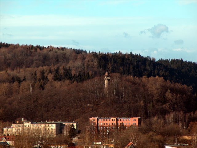 widoki-z-wiezyczki-zeroma-12715