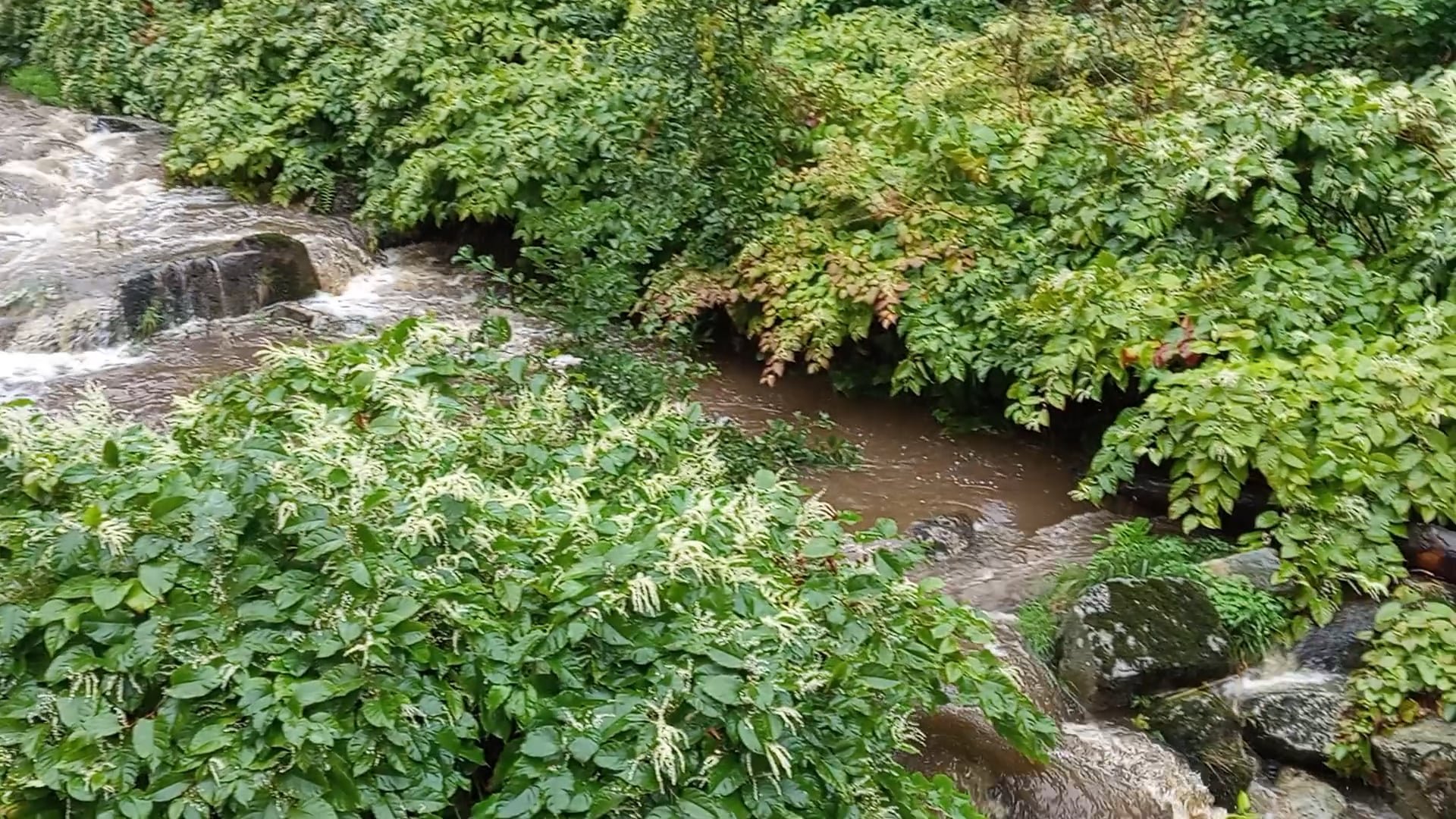 wzburzona-kamienna-w-szklarskiej-porebie-127229