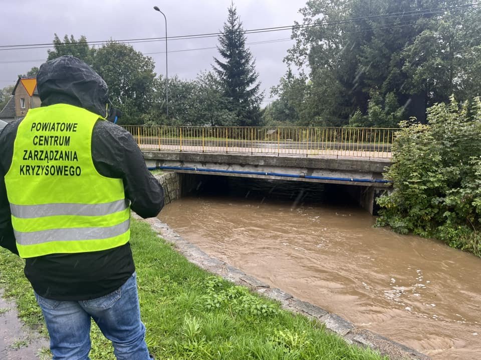 radomierka-zagraza-maciejowej-127237