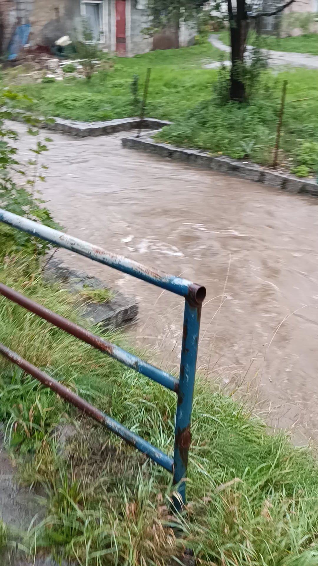 radomierka-wylewa-127239