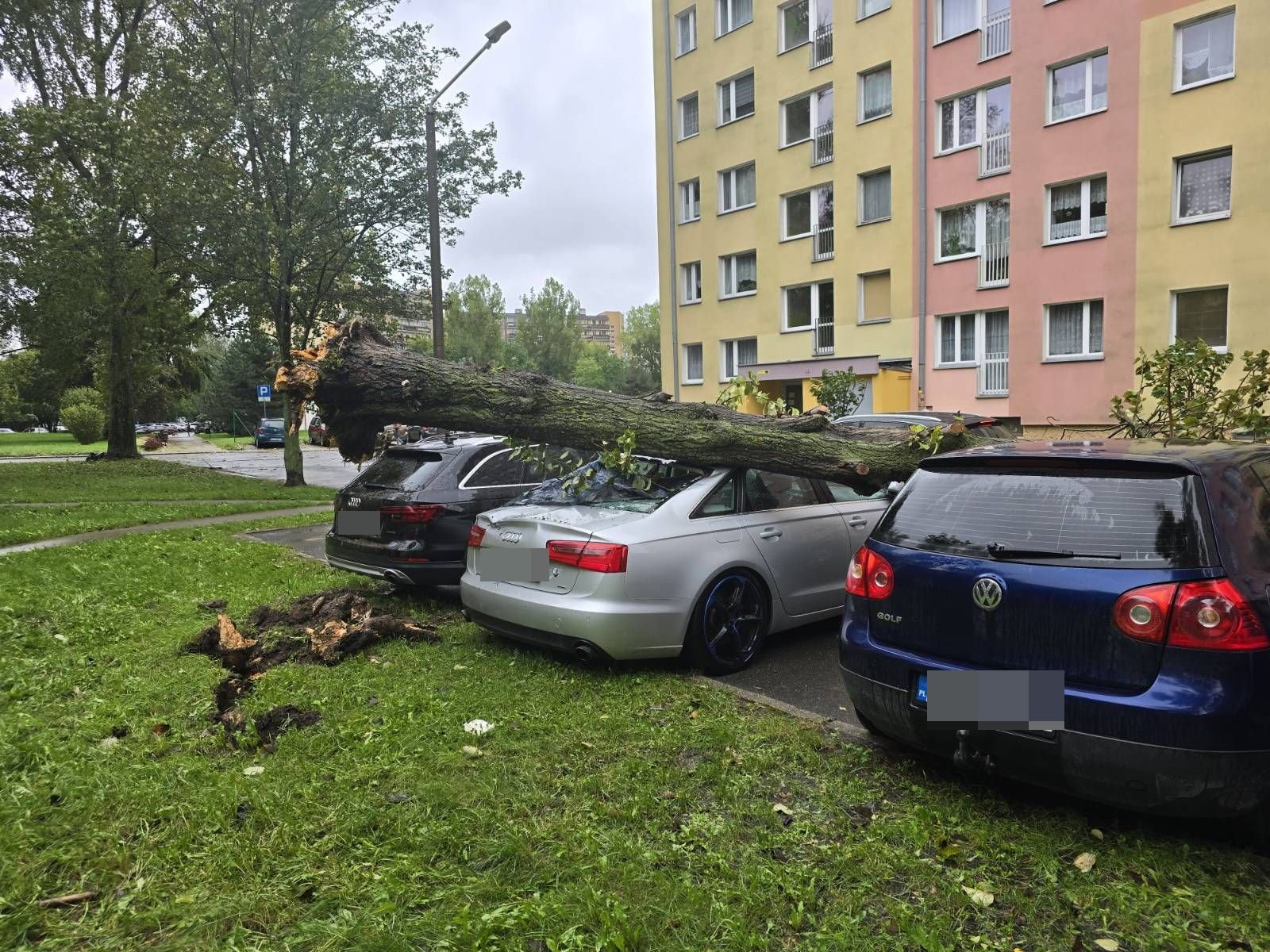 konar-drzewa-uszkodzi-samochody-127287