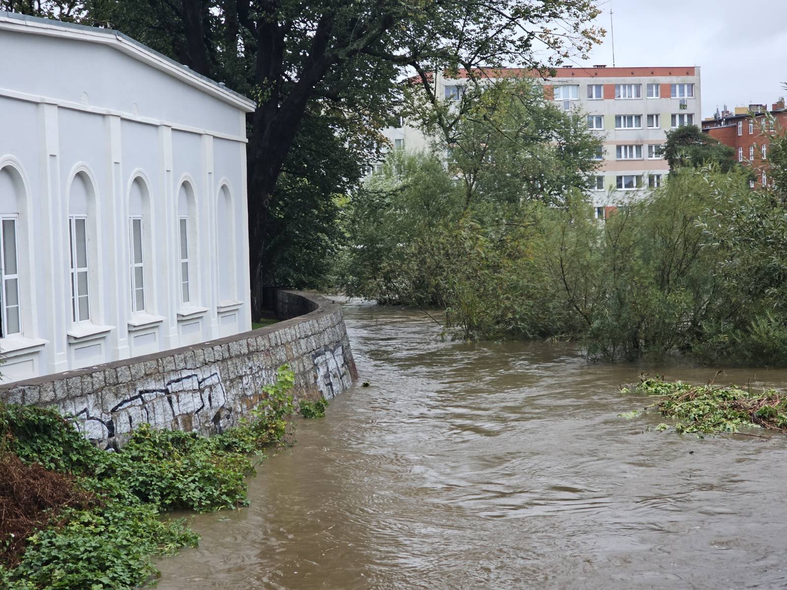 bobr-coraz-bardziej-przybiera-127292