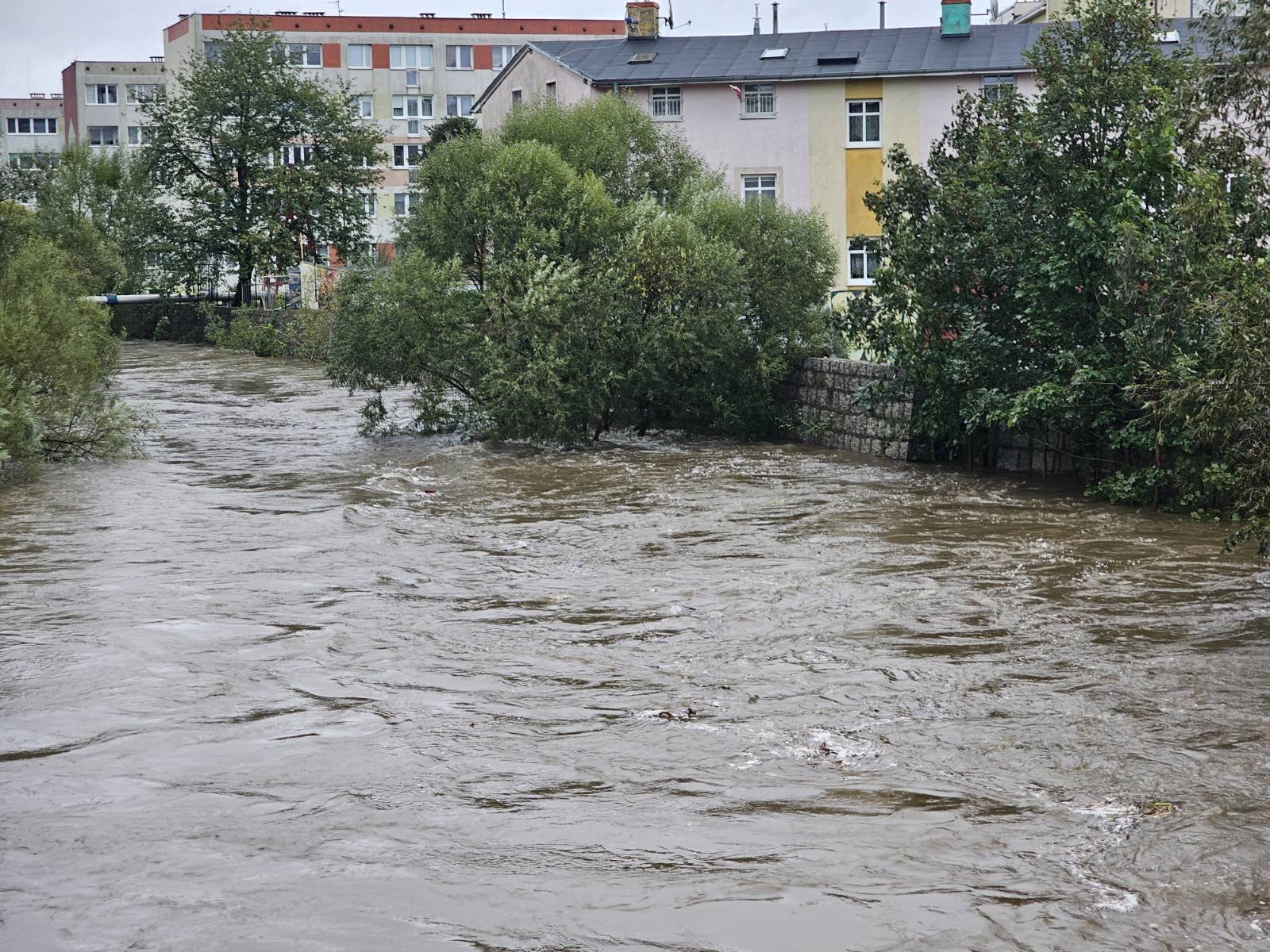 bobr-coraz-bardziej-przybiera-127292