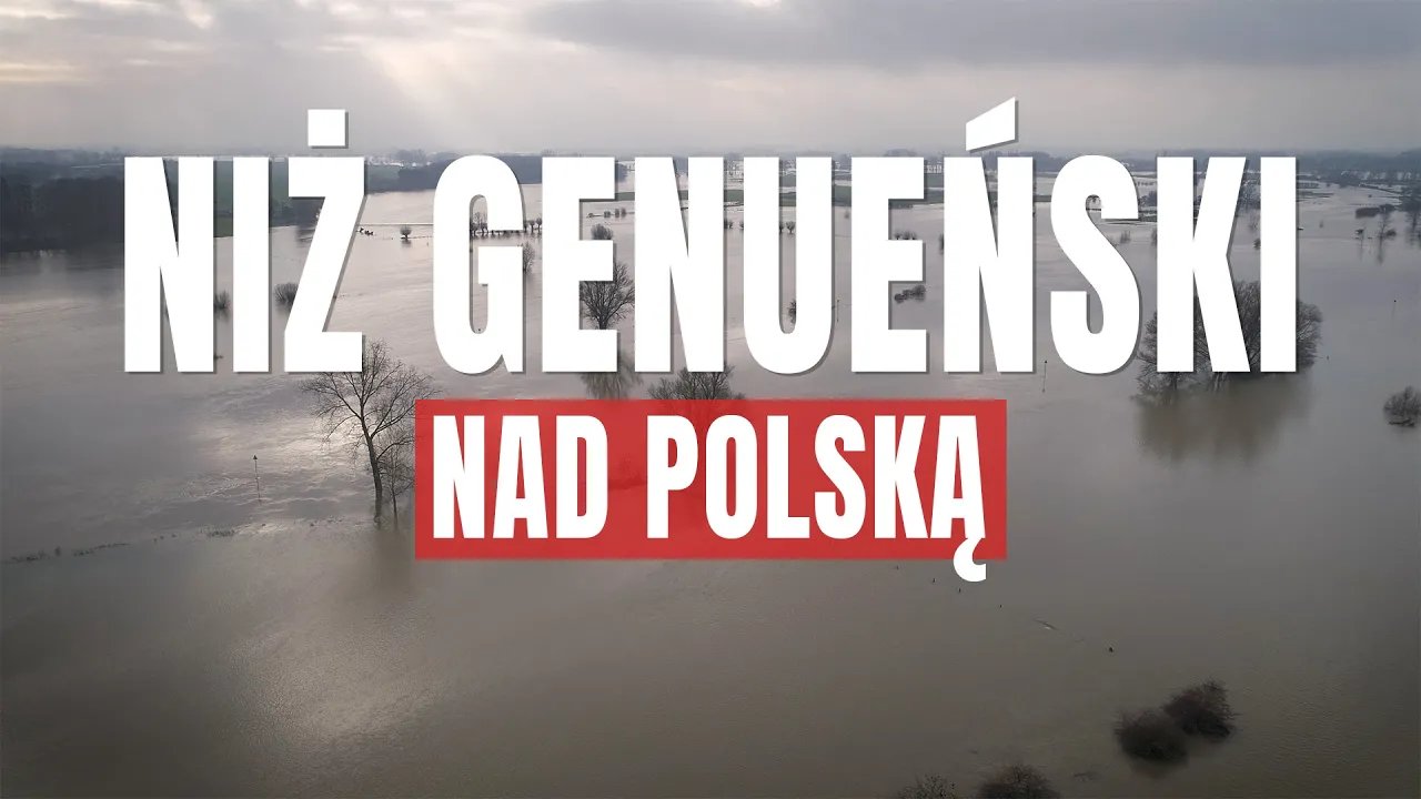 niz-genuenski-szybkie-wyjasnienie-127302