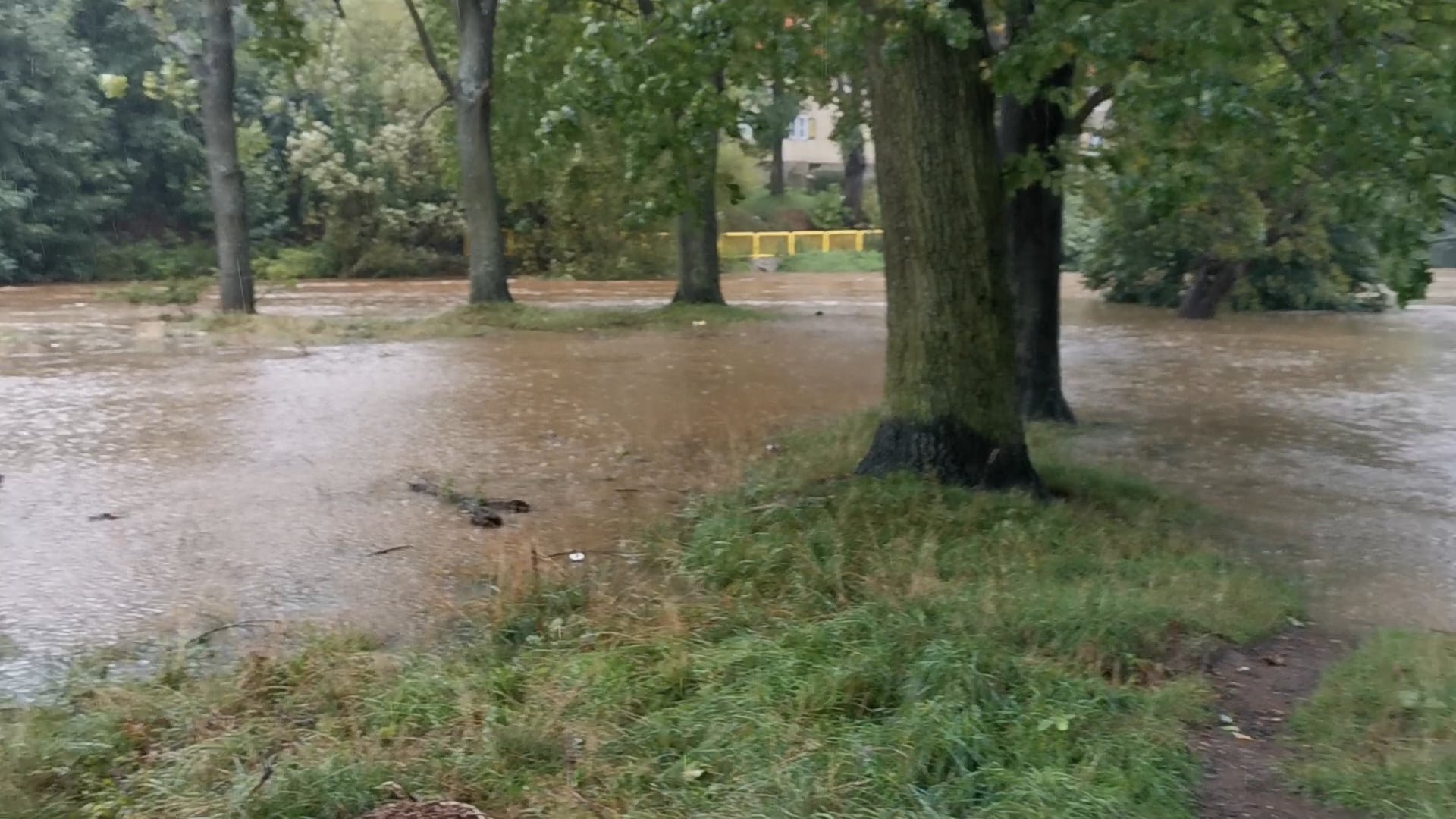 park-przy-ul-warszawskiej-i-nadbrzeznej-127308