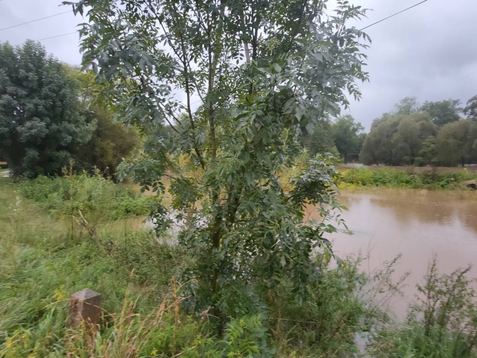 rzeka-wylaa-miedzy-paacami-127346