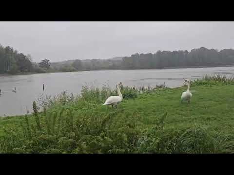 nie-mozna-wchodzic-do-parku-norweskiego-127410