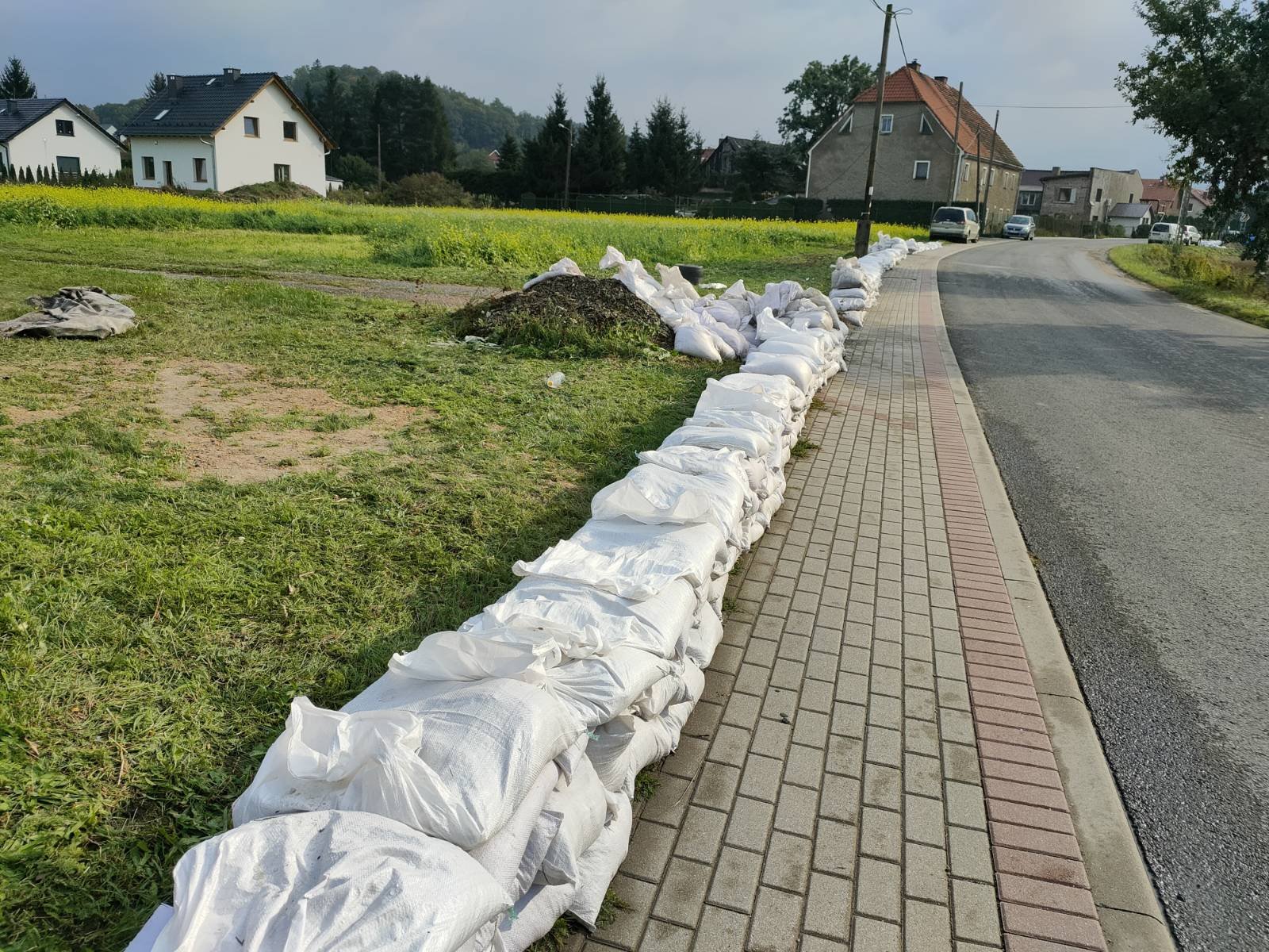 nie-bedzie-zakupow-w-dino-127454