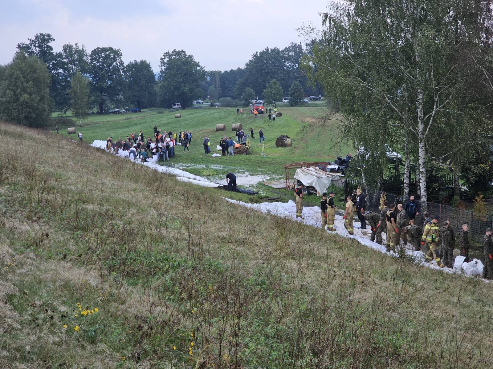 w-mysakowicach-walcza-o-tame-127457