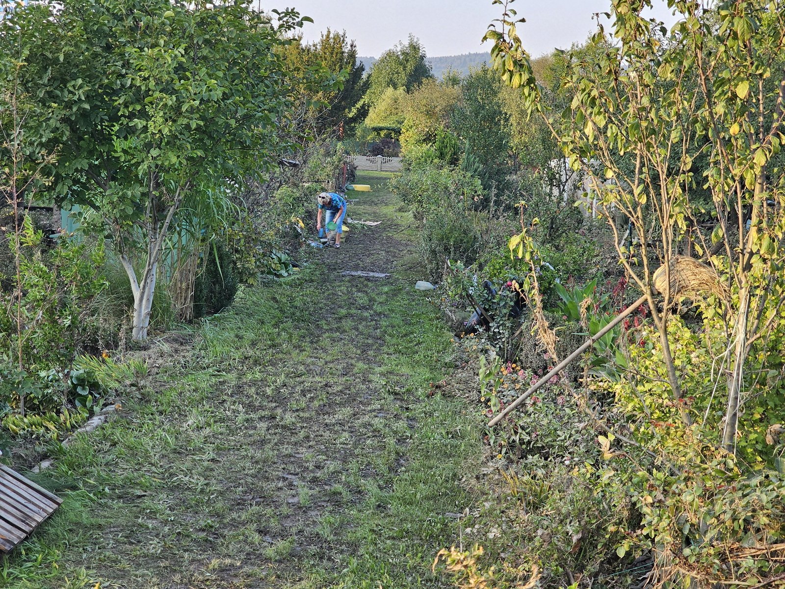 wielki-baagan-na-rodzinnej-i-os-robotniczym-127536