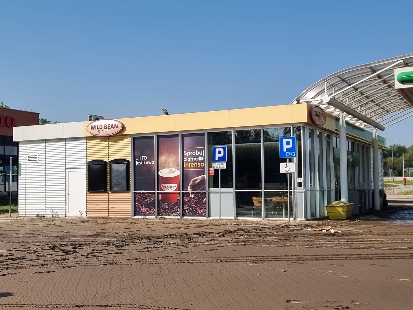 porzadki-po-wielkiej-wodzie-127544