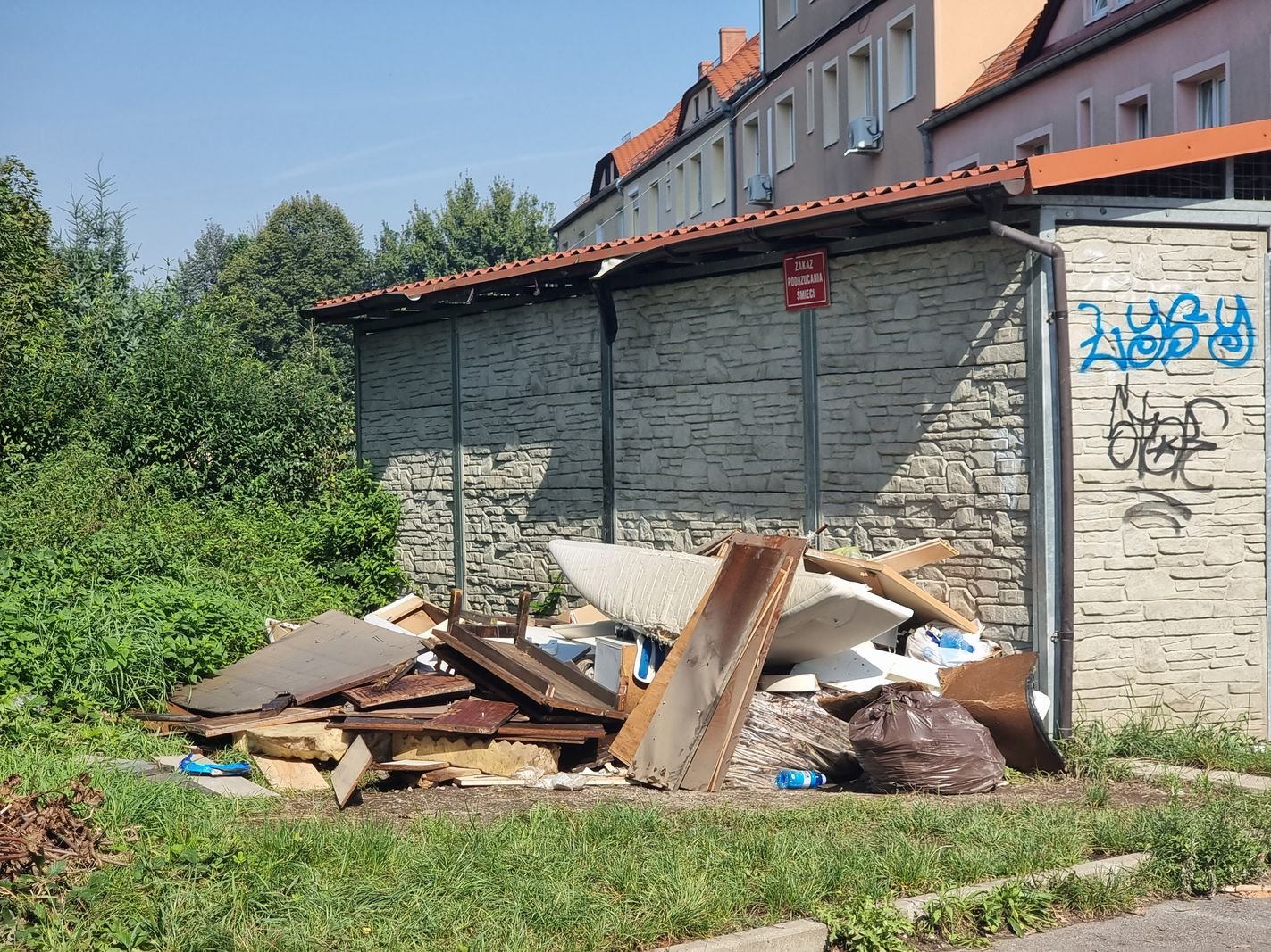 porzadki-po-wielkiej-wodzie-127544