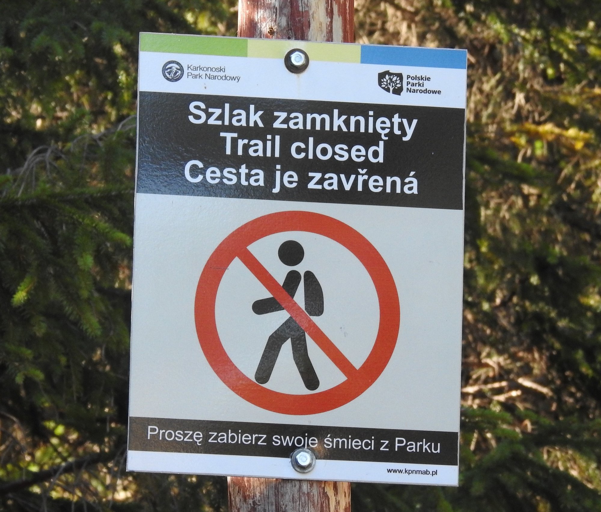 kpn-otwiera-szlaki-127548