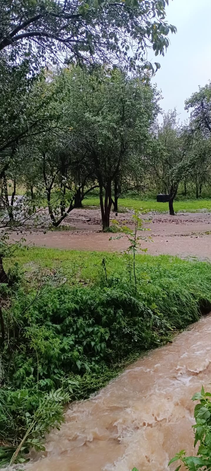 osp-w-dziwiszowie-dziekuje-127588