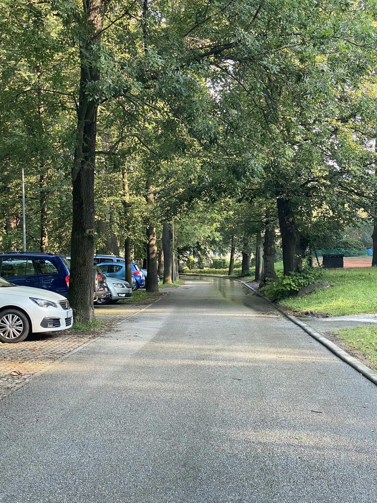 porzadki-w-kowarach-127615