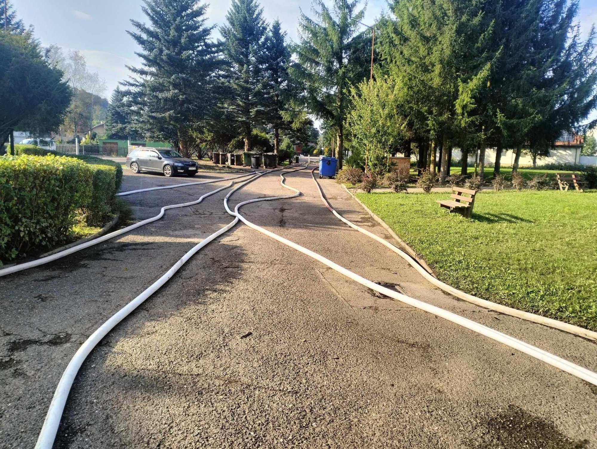 osp-omnica-potrzebuje-wezy-127669