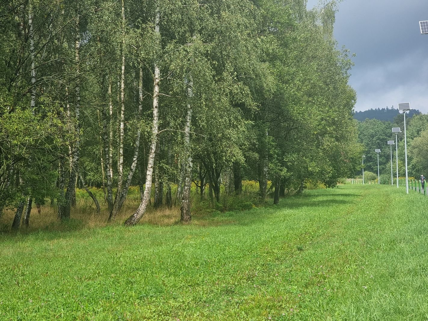 trzy-oferty-na-brzozowy-zakatek-127678