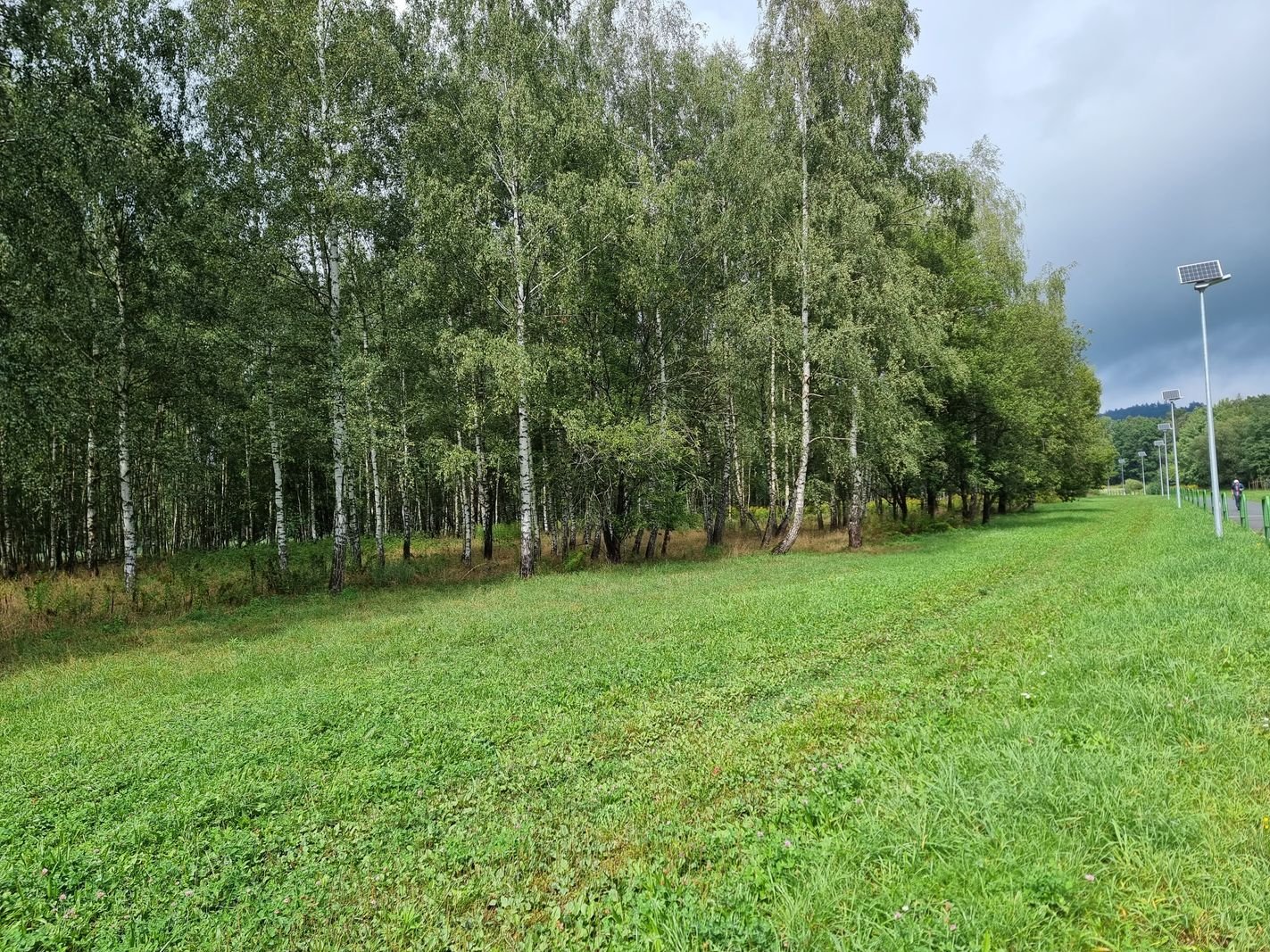 trzy-oferty-na-brzozowy-zakatek-127678