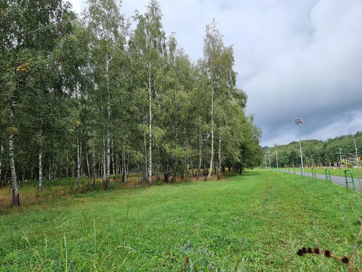 trzy-oferty-na-brzozowy-zakatek-127678