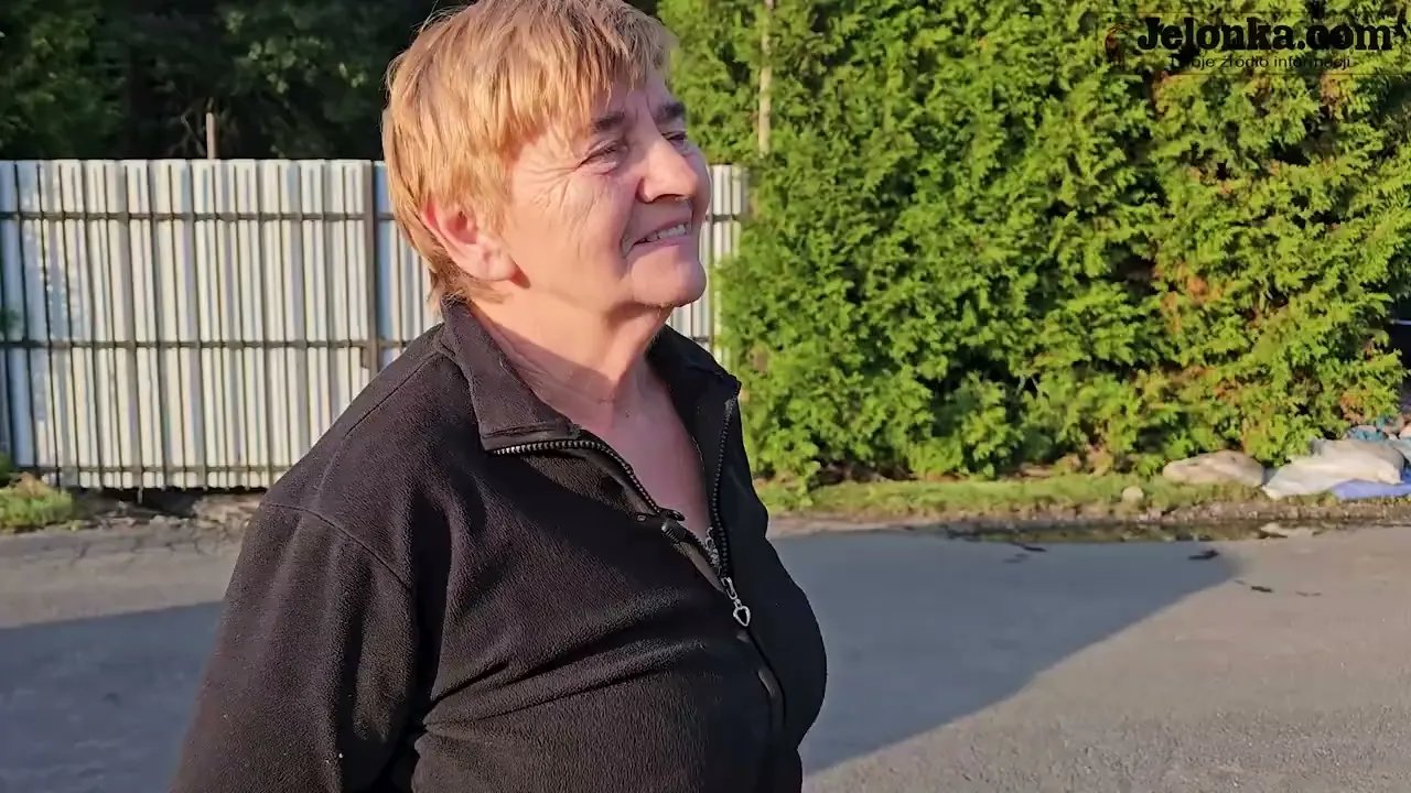 krowy-przewiezlismy-do-miedzianki-127686