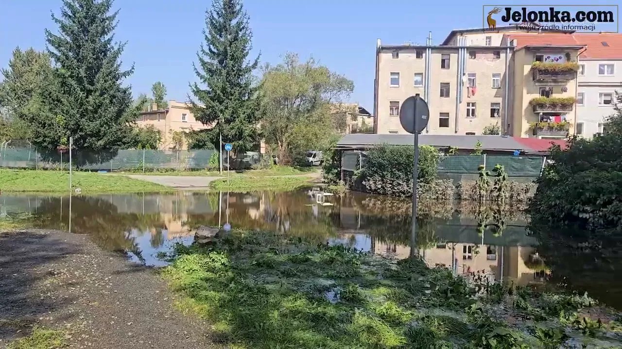 zalao-wszystko-co-mogo-zalac-127702