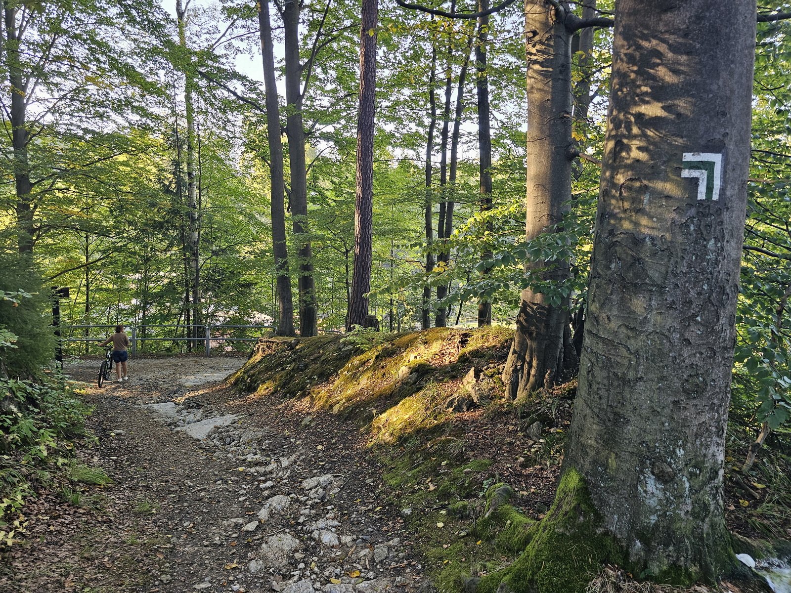 niebezpieczna-sciezka-poetow-127710