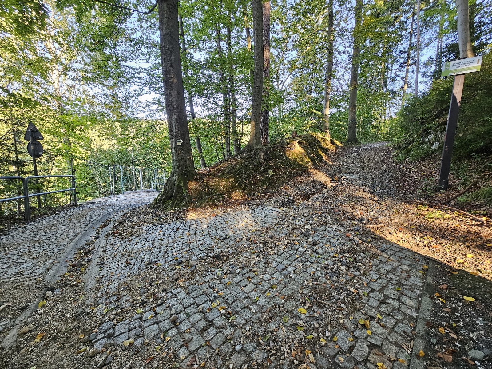 niebezpieczna-sciezka-poetow-127710