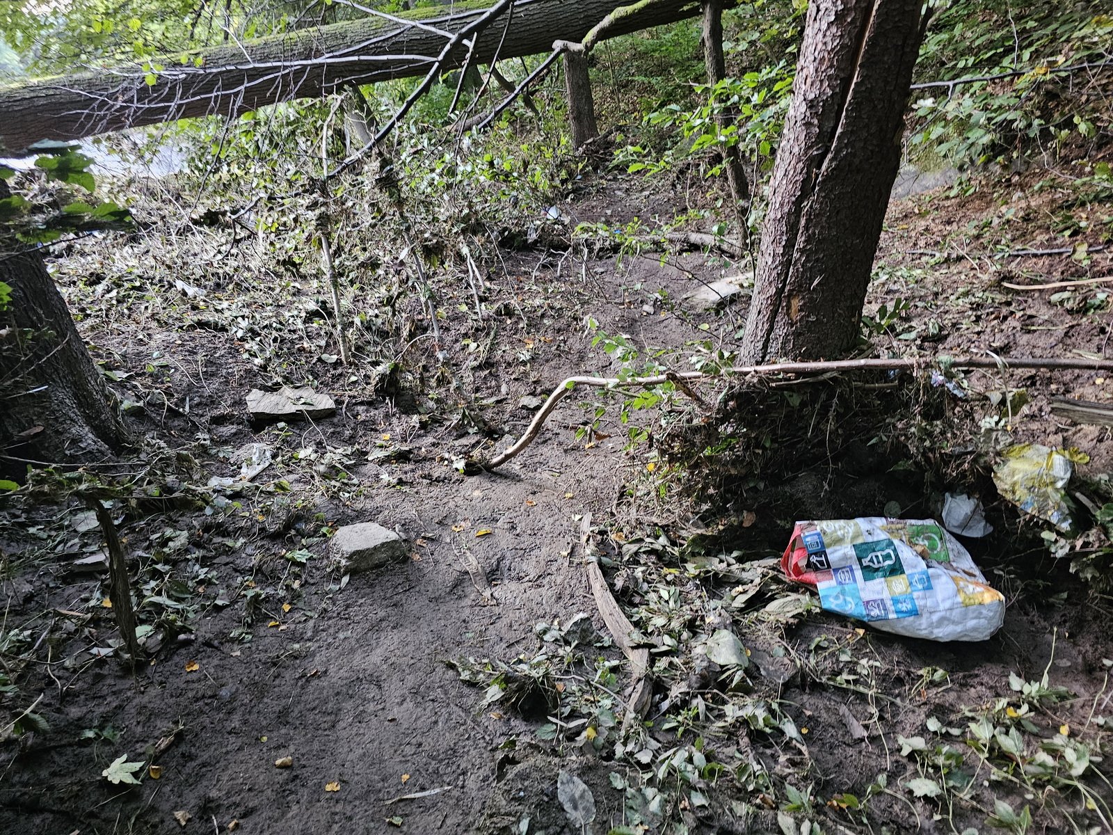 katastrofa-w-dolinie-bobru-powodz-zniszczya-dobytek-i-krajobraz-127804