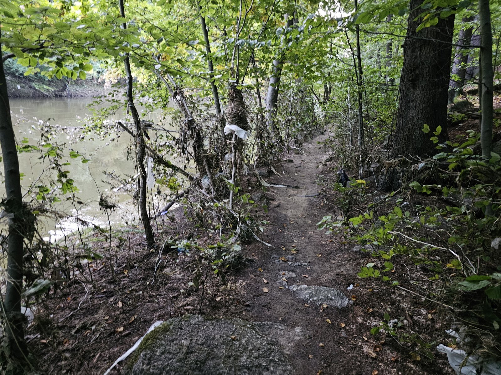 katastrofa-w-dolinie-bobru-powodz-zniszczya-dobytek-i-krajobraz-127804