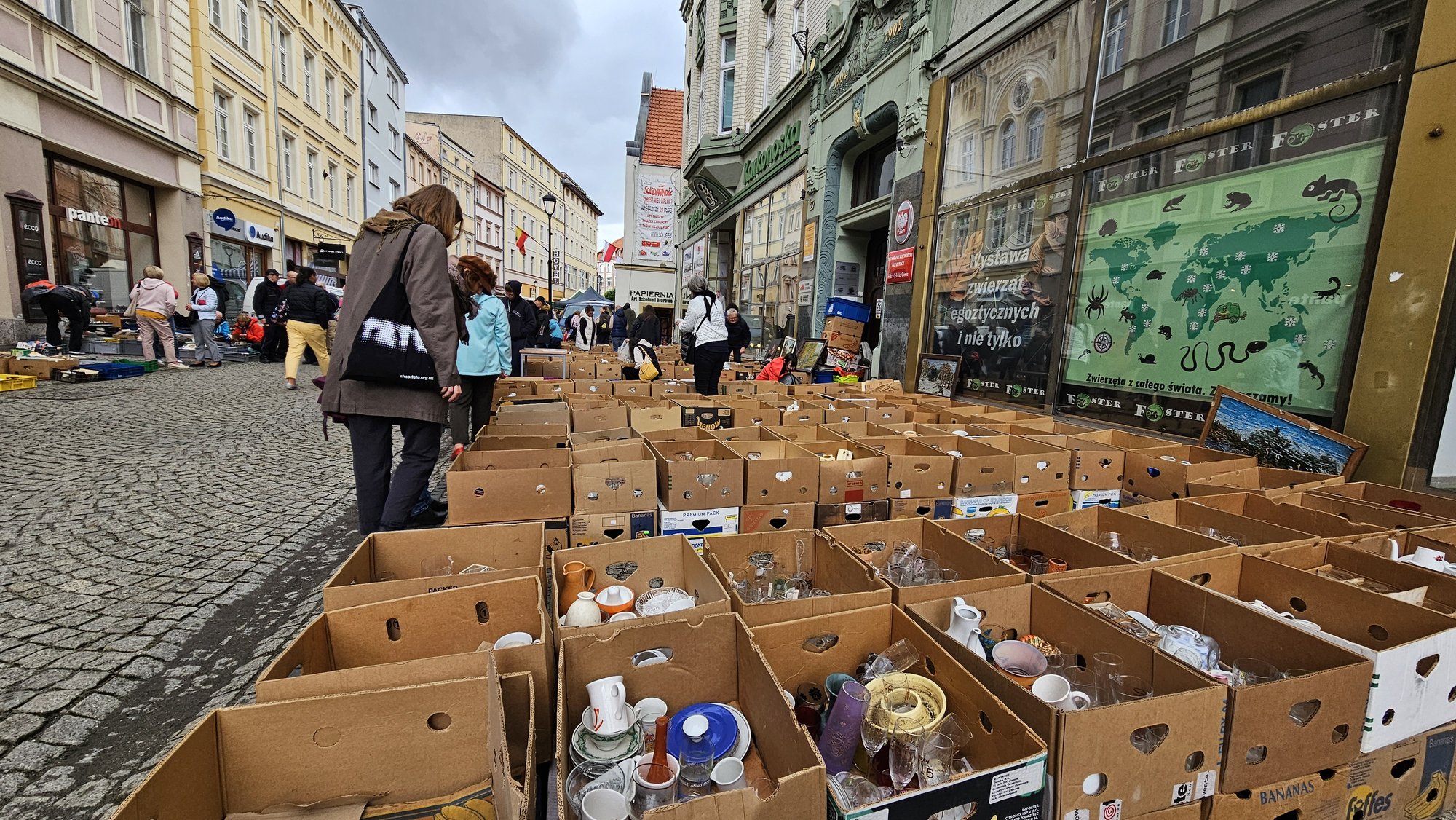 jarmark-staroci-w-jeleniej-gorze-sobota-28092024-127837