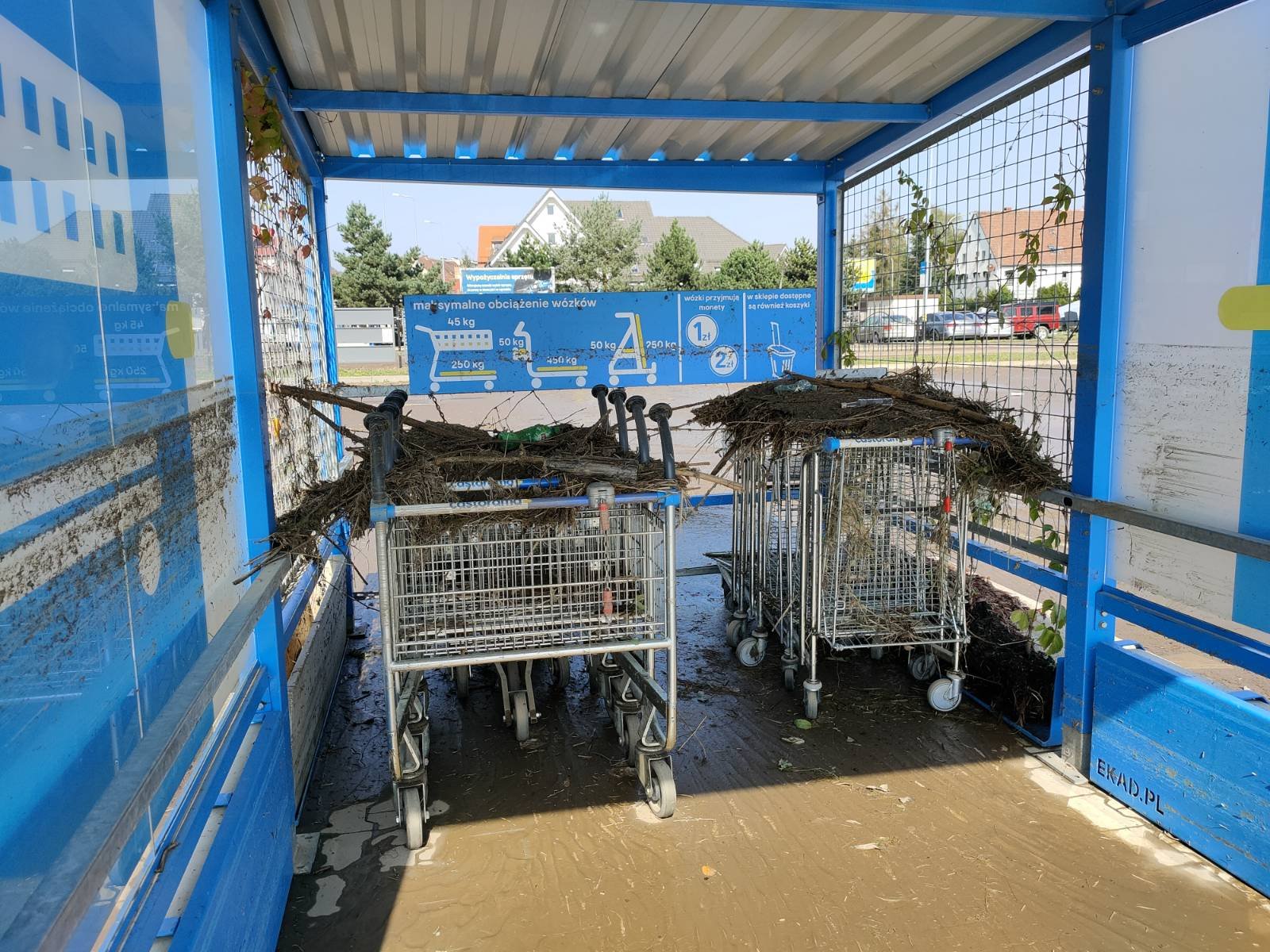 castorama-otwarta-po-powodzi-127848