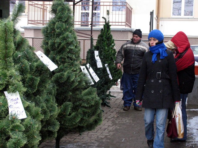 silna-goraczka-kupowania-12798