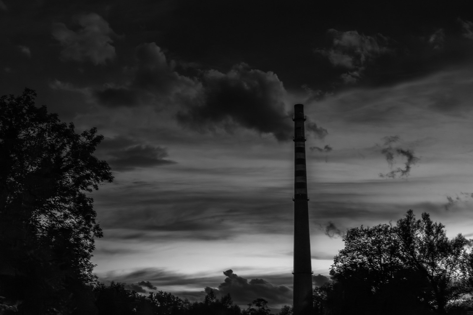 historia-celwiskozy-127981
