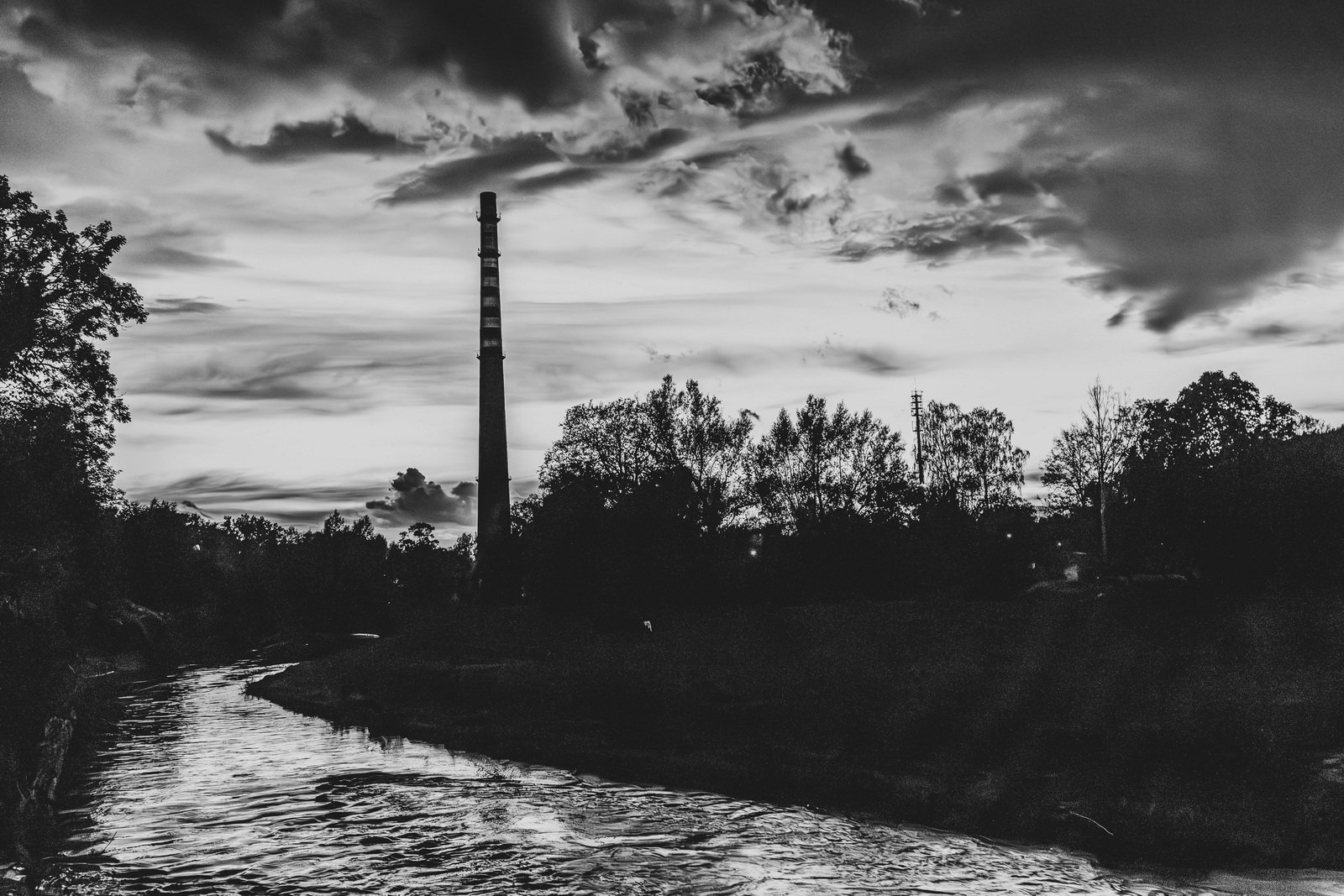 historia-celwiskozy-127981