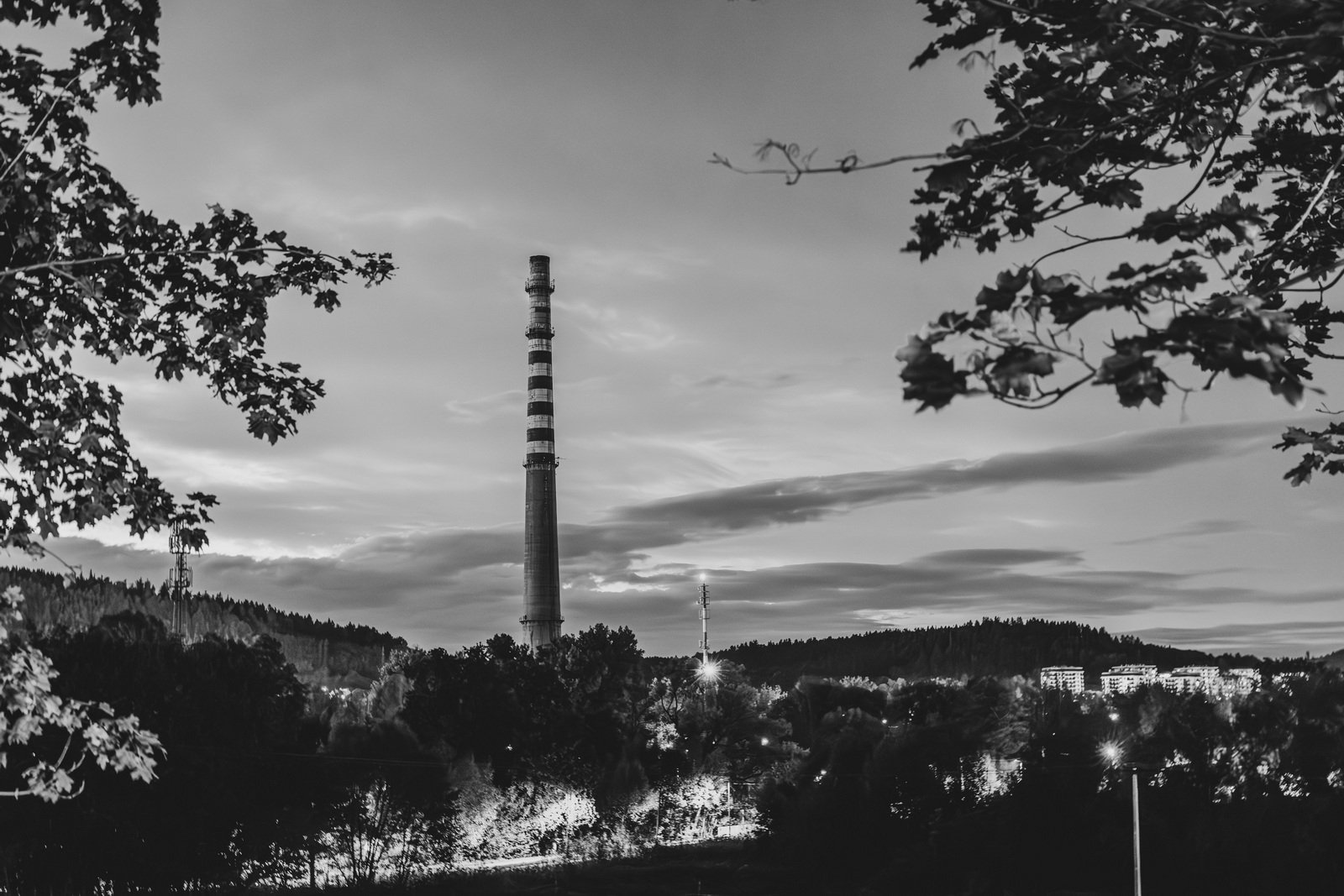 historia-celwiskozy-127981