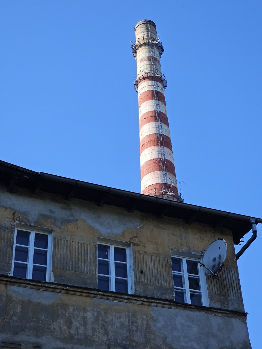 historia-celwiskozy-127981