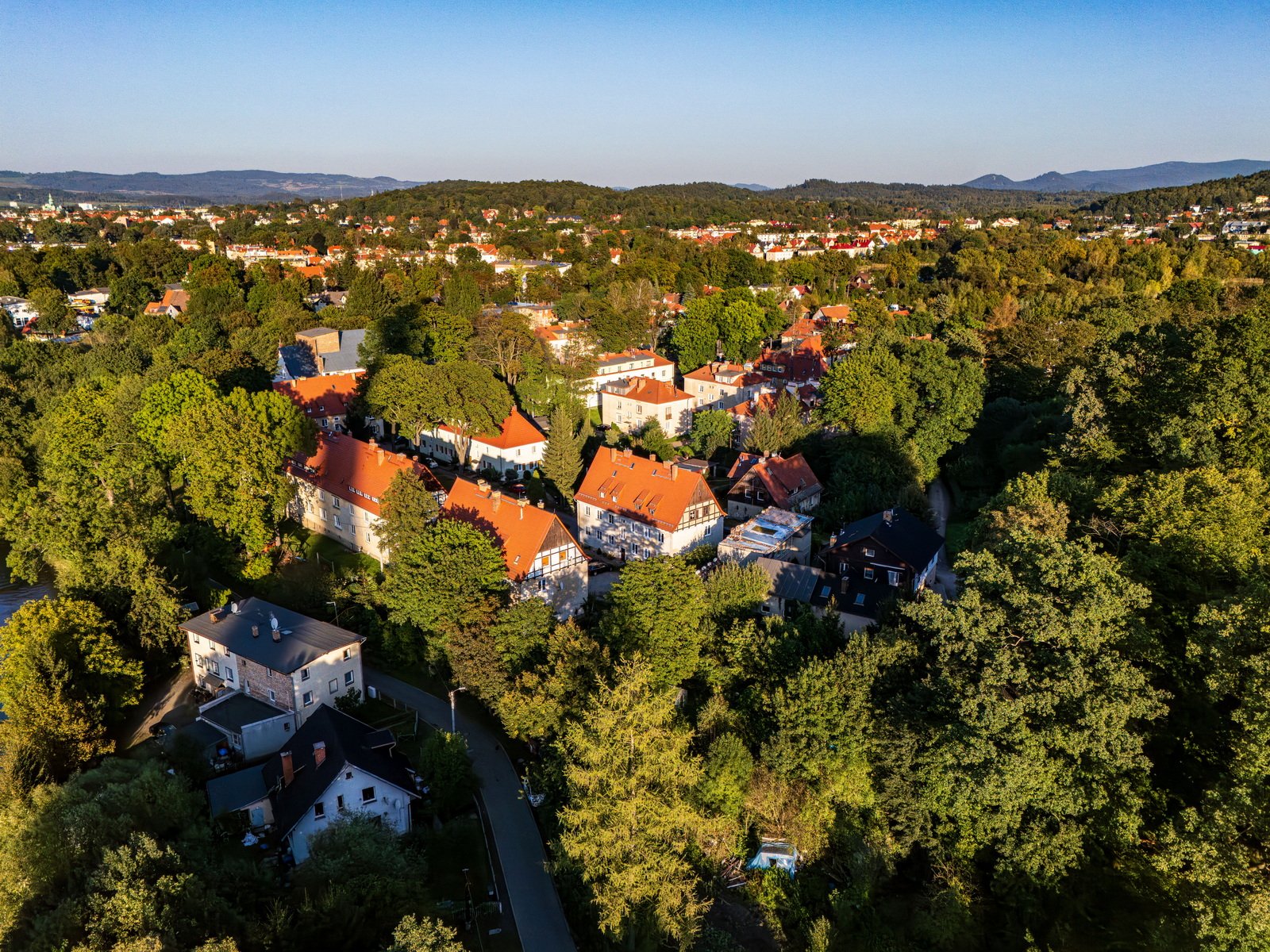 historia-celwiskozy-127981