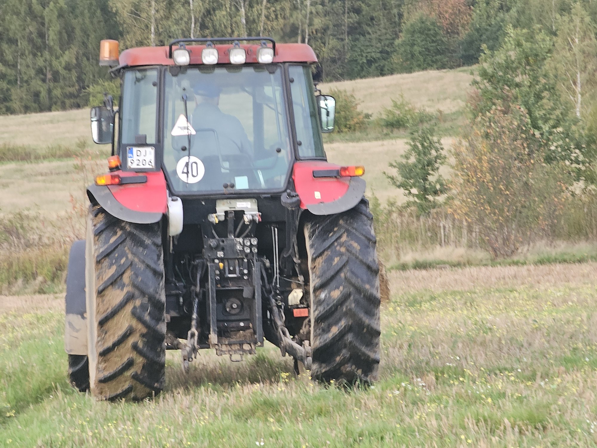z-wierzchu-siano-mokre-a-w-srodku-suche-128048